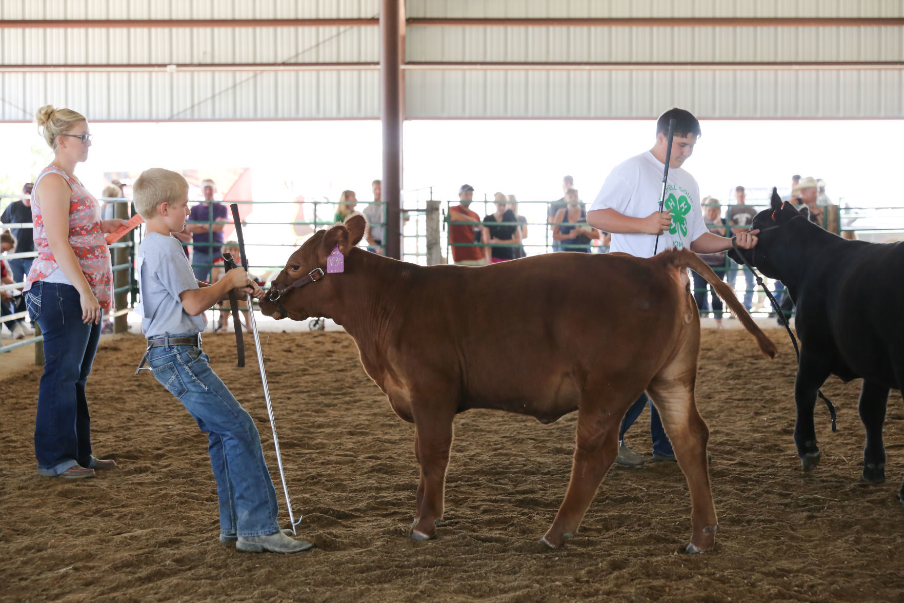 Beef-0538.JPG